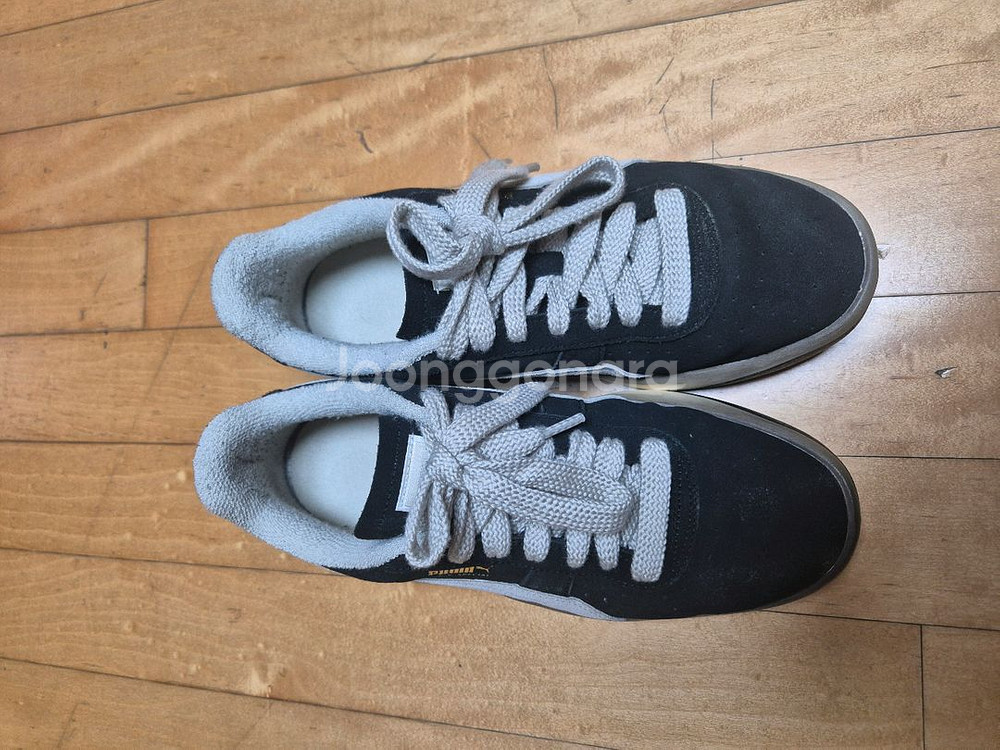 PUMA GV 스페셜 네버원 V 블랙 데저트더스트280--1