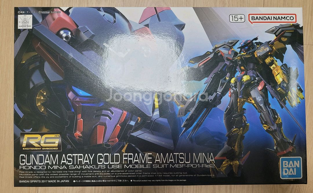 rg 아스트레이 골드프레임 아마츠 미나--0