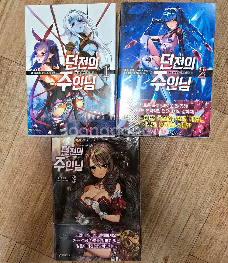 라노벨 던전의 주인님 1~3 미개봉,초판포함--0