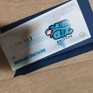 남이섬 짚와이어 이용권