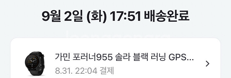 가민 포러너 955 솔라 블랙--0
