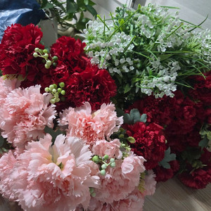 풍성한 카네이션