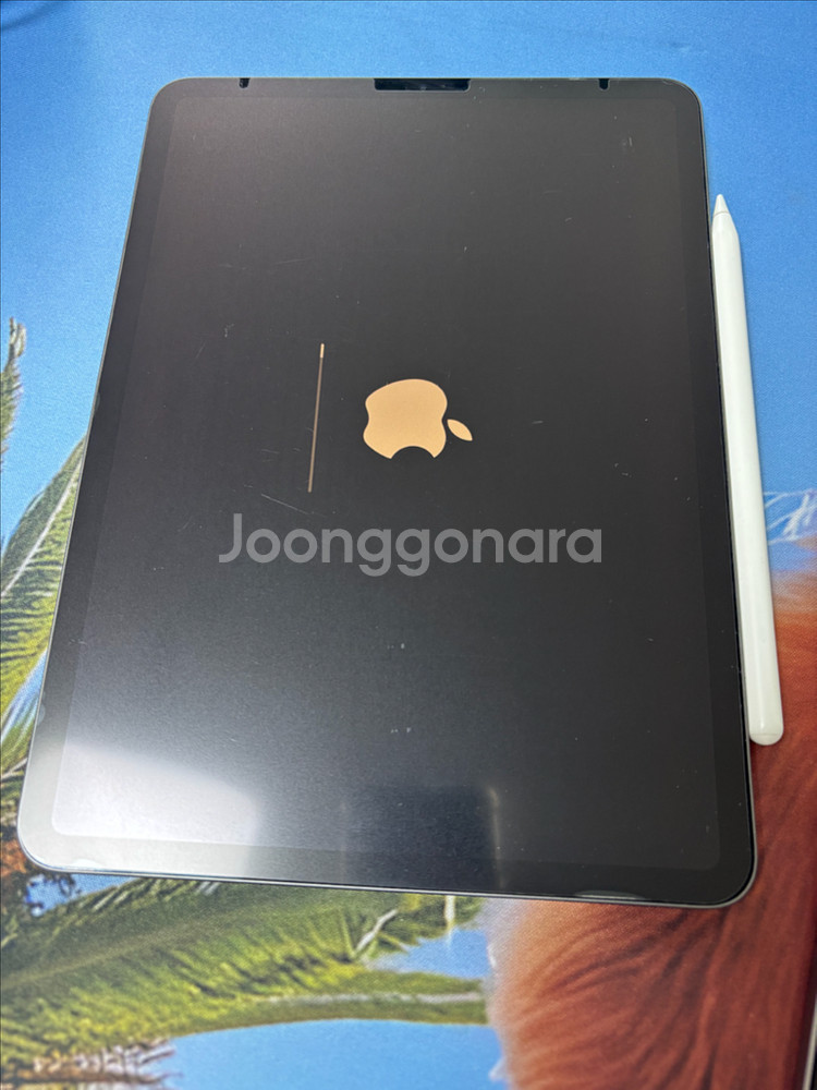 아이패드 프로11 1세대 64, 애플펜슬 2세대--2