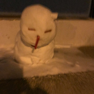 가와사키z125 스탠다드 구매합니당