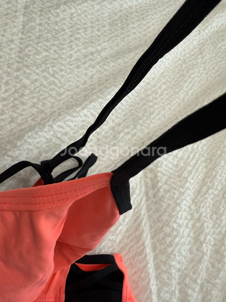 졸린 파파야 튤리 26--6