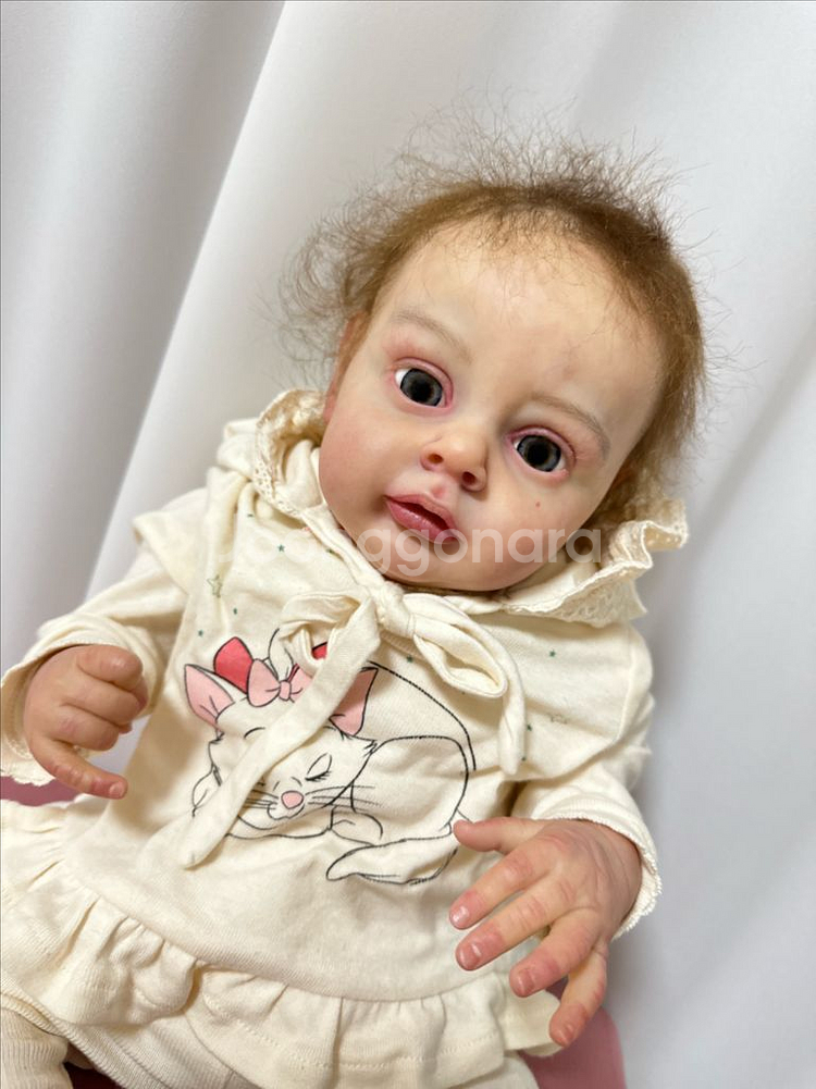 급처)리본돌 한정판 Chloe kit--2