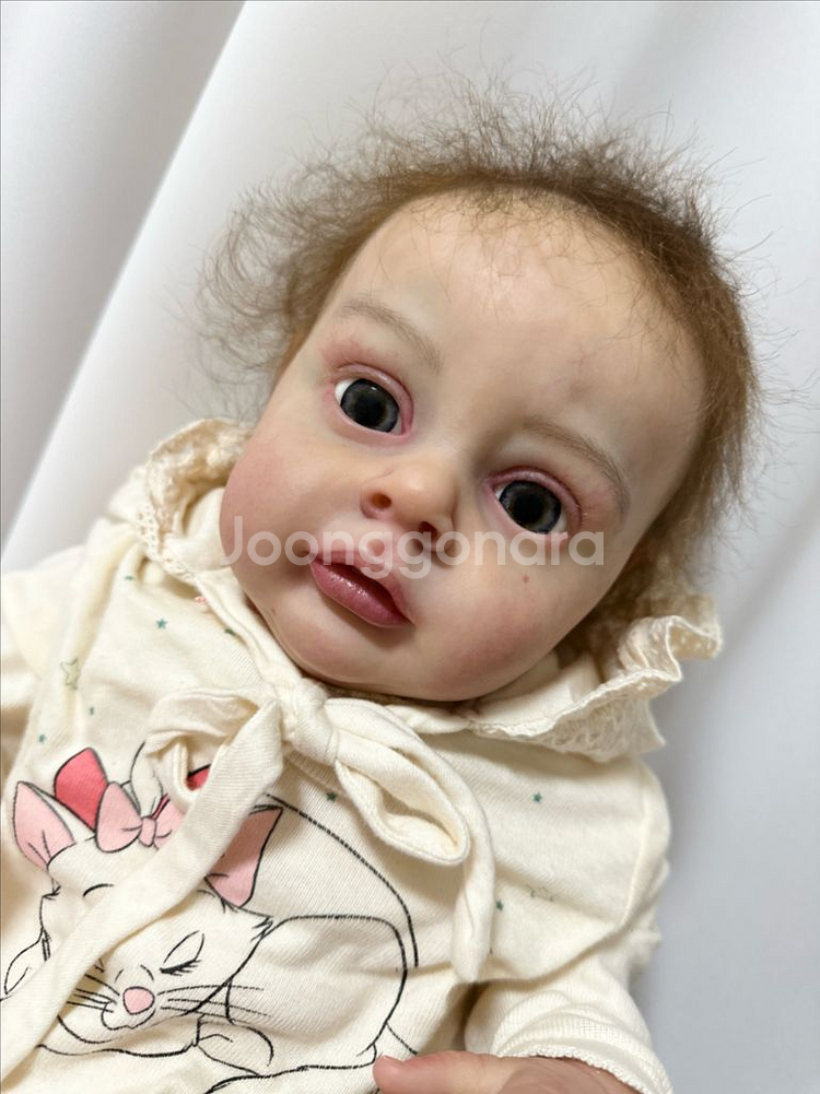 급처)리본돌 한정판 Chloe kit--3