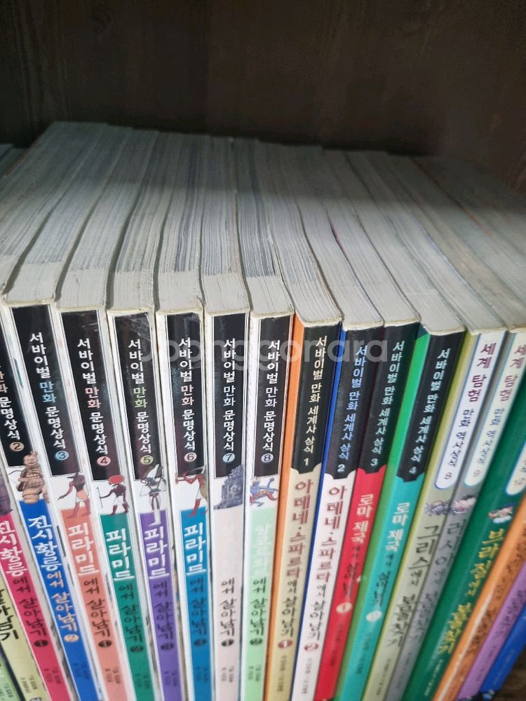 살아남기 보물찾기 시리즈 27권--3