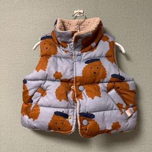 타이니코튼 푸들 베스트 2y