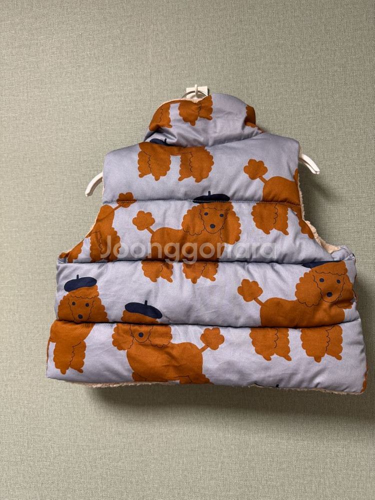 타이니코튼 푸들 베스트 2y--1