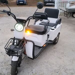 전기삼륜오토바이 전동 삼륜바이크