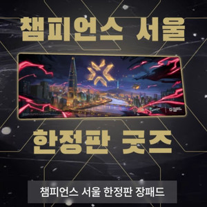 2024 발로란트 챔피언스 서울 한정판 장패드