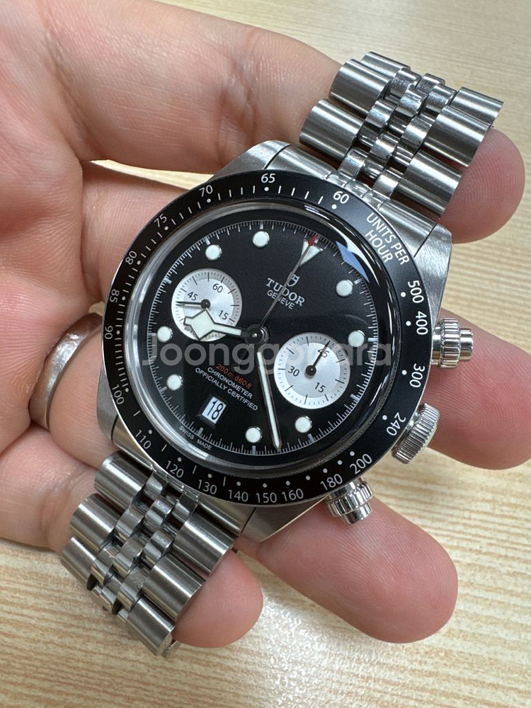 블랙베이 크로노--0