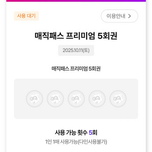 10/11(토) 롯데월드 매직패스 5회권 2장