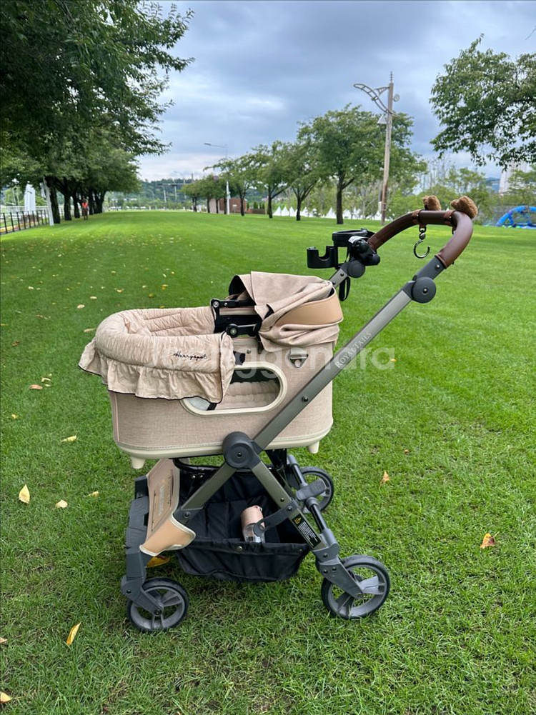 로얄테일즈 그레이스 스탠다드 베이지--0