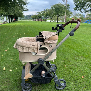 로얄테일즈 그레이스 스탠다드 베이지