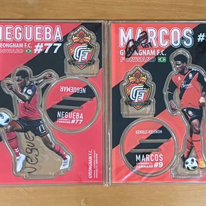 경남FC 선수 등신대