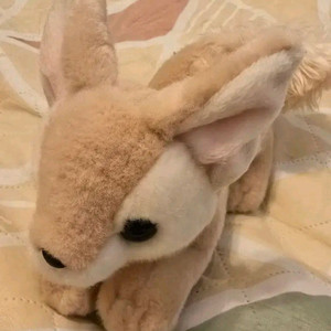 사막여우 인형