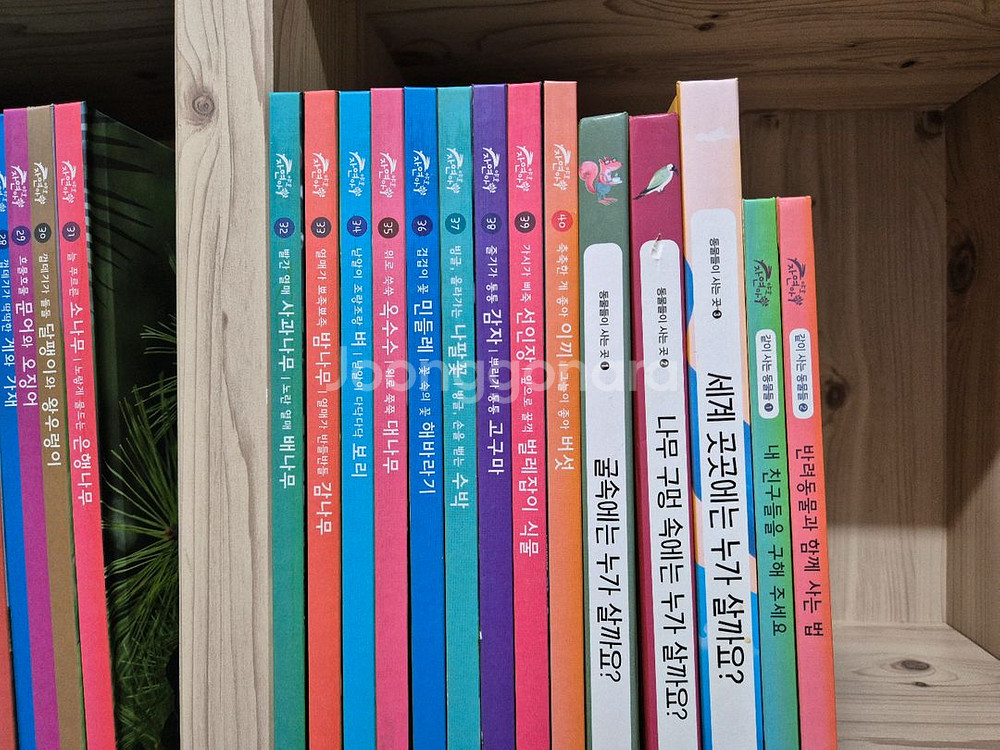 키즈스콜레 야호 자연아 ,세이펜 포함 택포--2
