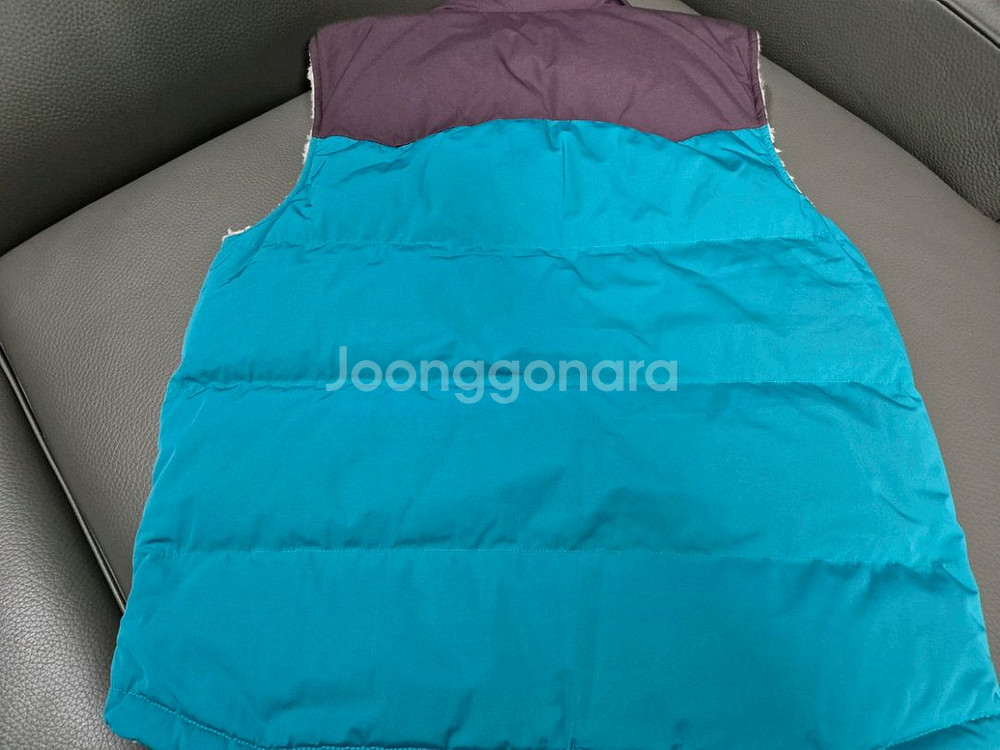 파타고니아,코오롱 스포츠 다운 베스트--2