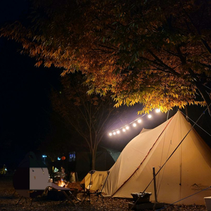 파티라이트 조명 및 조광기