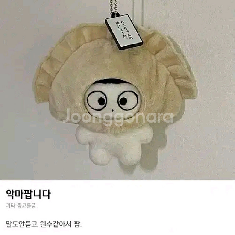 모자x) 팜팜군 양도 뉴진스 하니 인형--0