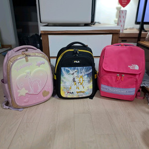 초등생 백팩 노스페이스 해지스 필라