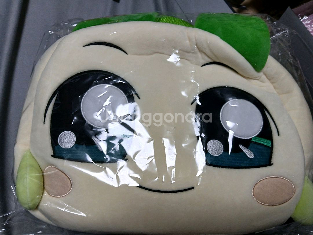 양파쿵야 백팩 팝니다--0