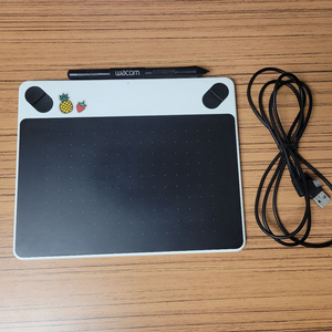 와콤 인튜어스 CTL-490/W