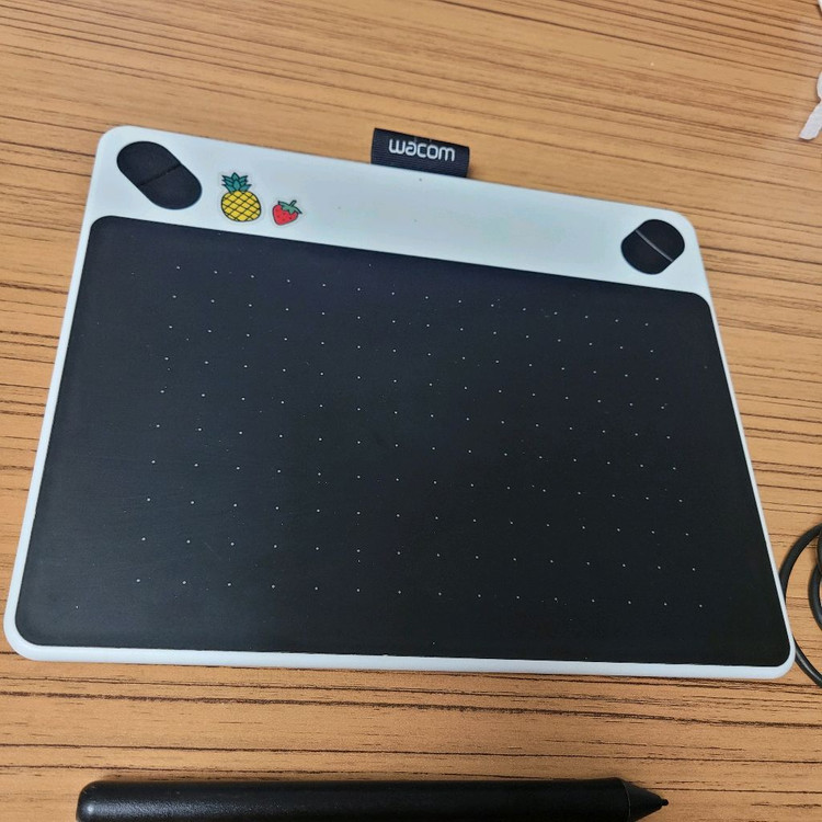 와콤 인튜어스 CTL-490/W--2