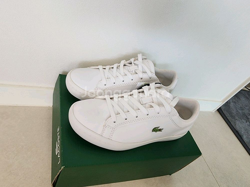 신발 라코스테 정품 새상품 미착용 새것 사이즈 230m--1