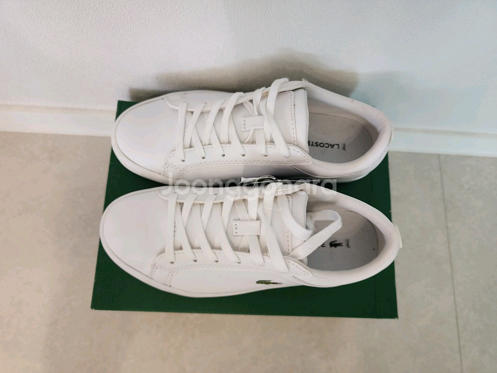 신발 라코스테 정품 새상품 미착용 새것 사이즈 230m--5