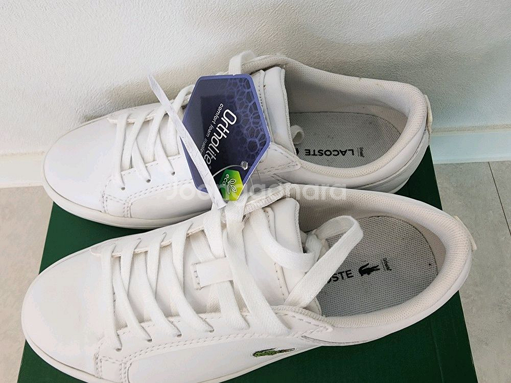 신발 라코스테 정품 새상품 미착용 새것 사이즈 230m--7