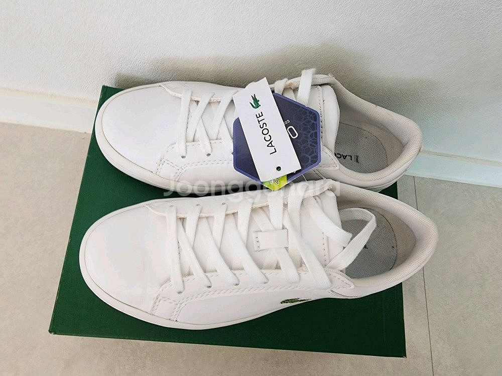 신발 라코스테 정품 새상품 미착용 새것 사이즈 230m--4