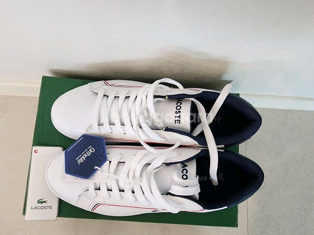 신발 라코스테 정품 새상품 미착용 새것 사이즈 260m--4
