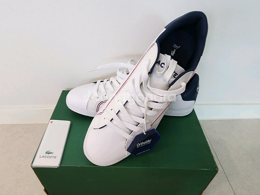 신발 라코스테 정품 새상품 미착용 새것 사이즈 260m--6