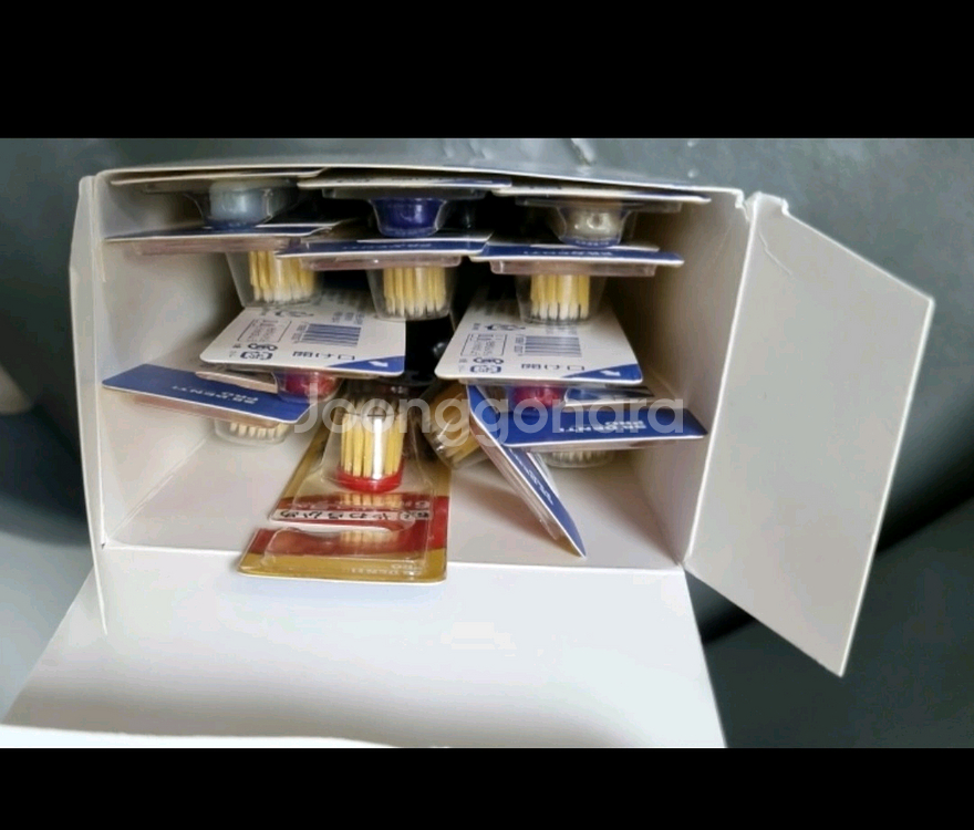SB Denti Pro 칫솔(일본)--2