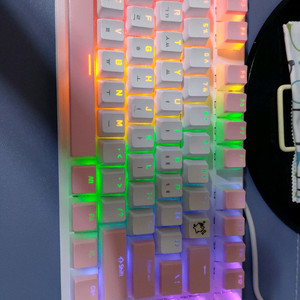 앱코 기계식 키보드 화이트 k560 갈축
