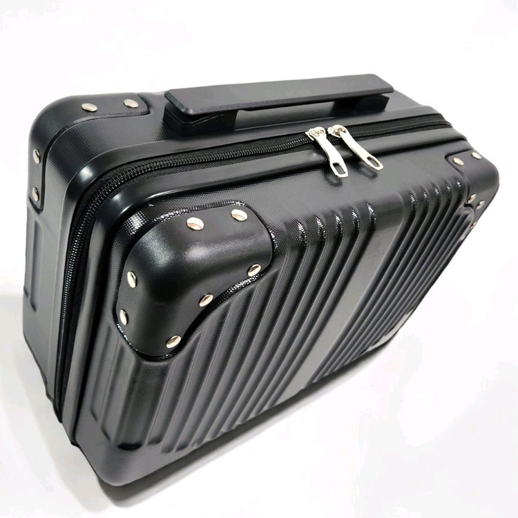 LG 시네빔 큐브 전용 하드 케이스 보관--2