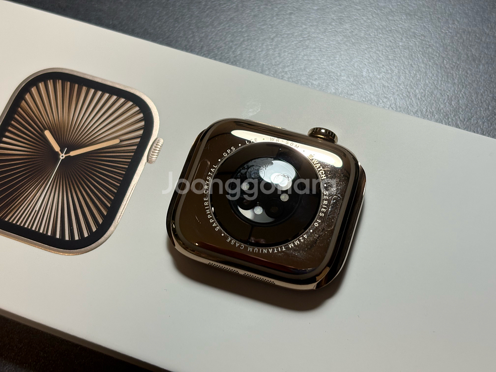 애플워치10 42mm 티타늄골드+모던버클 애플케어--5