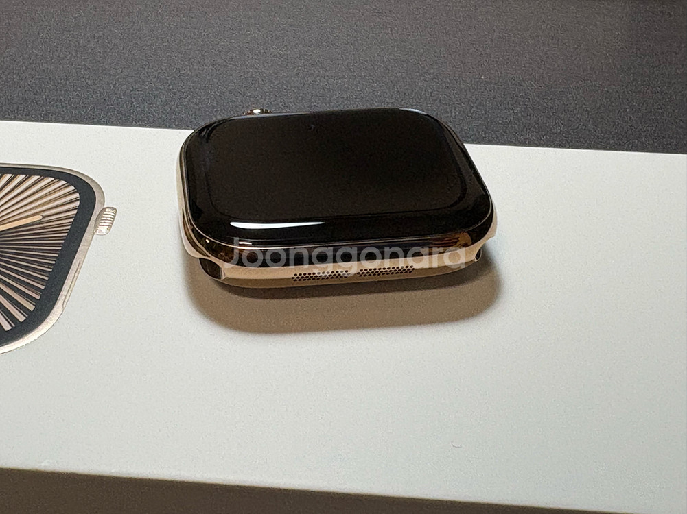 애플워치10 42mm 티타늄골드+모던버클 애플케어--4