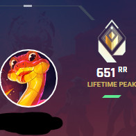 발로란트 아마추어 프로게이머 최저가대리