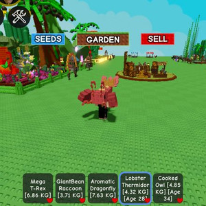 그로우 어 가든 랍스터