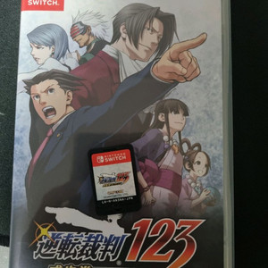 역전재판123 닌텐도 스위치 칩