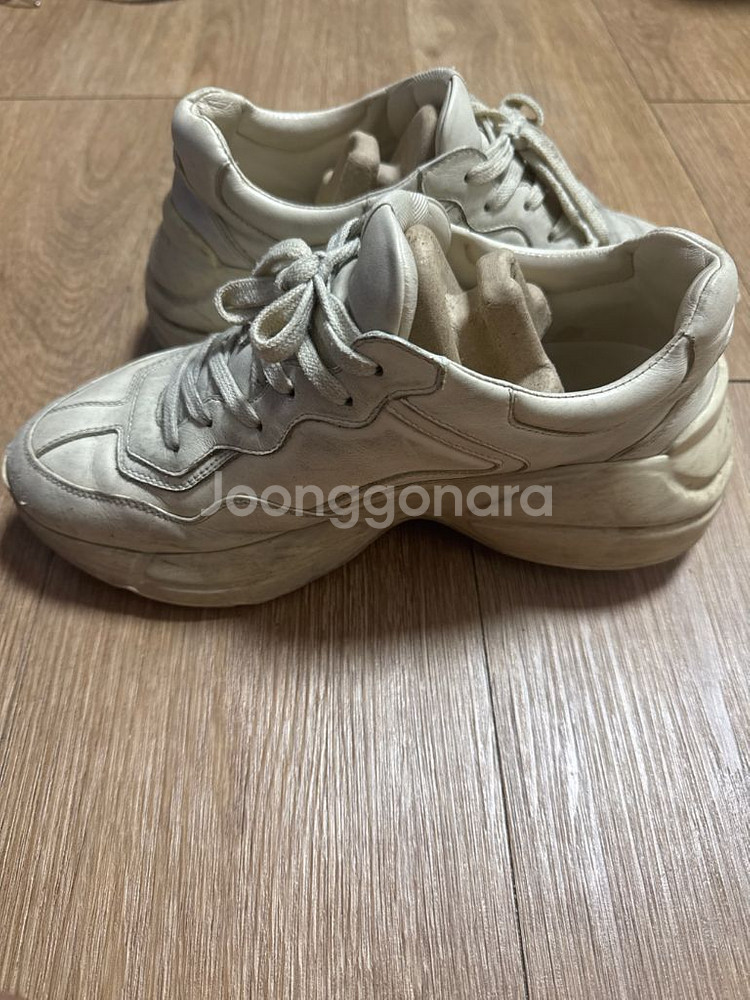 구찌 라이톤 더티--3