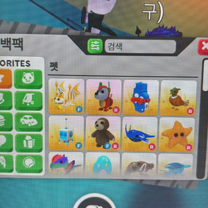 입양하세요 펫 팔아요