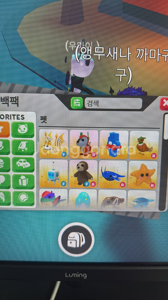 입양하세요 펫 팝니다--0