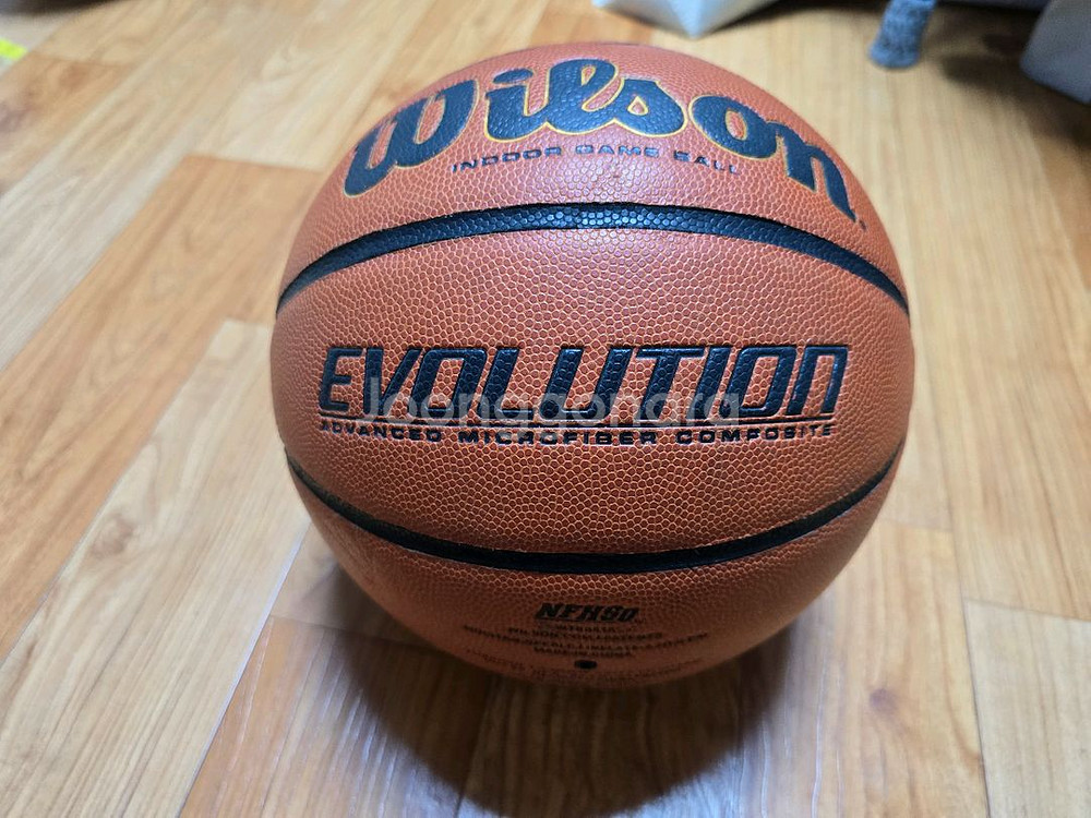 농구공 윌슨 에볼루션 7호--0