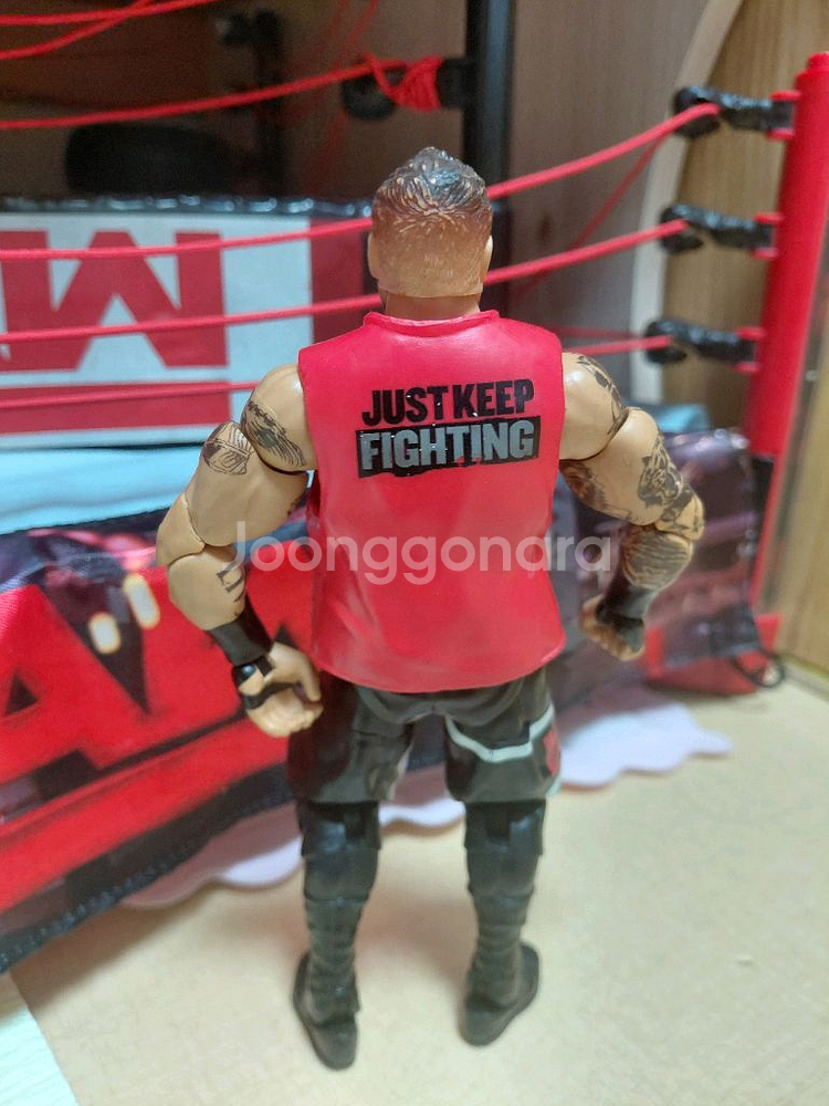 wwe. 피규어. 케빈--1