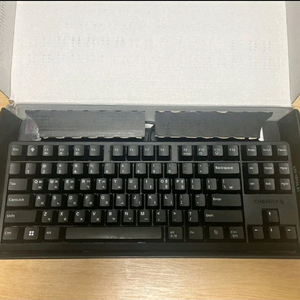 체리 g80-3000s 저소음적축 키보드